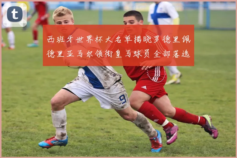 西班牙世界杯大名单揭晓罗德里佩德里亚马尔领衔皇马球员全部落选