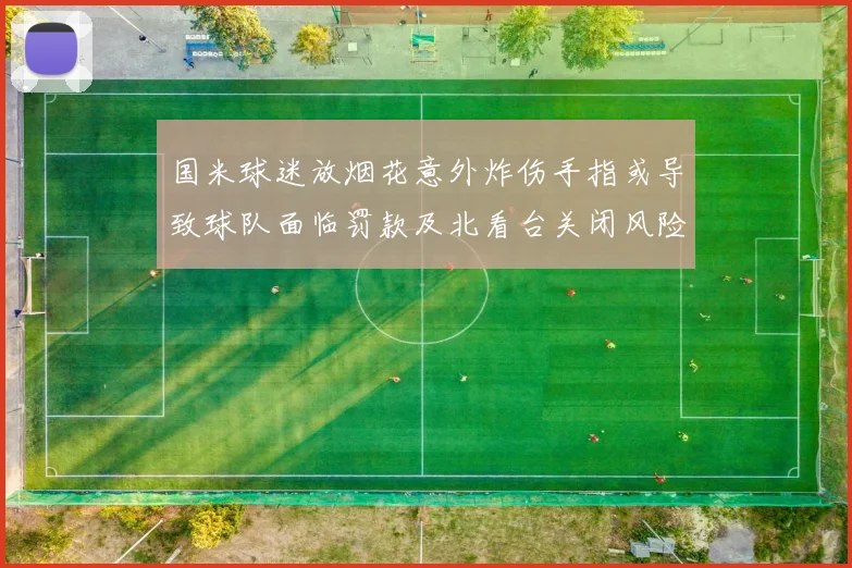 国米球迷放烟花意外炸伤手指或导致球队面临罚款及北看台关闭风险